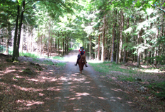 Ridskola