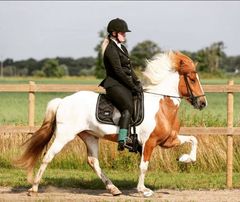 Spelmansgårdens ridskola