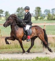 Spelmansgårdens ridskola