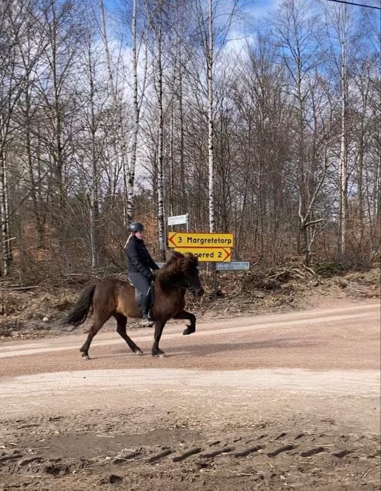 Spelmansgårdens ridskola