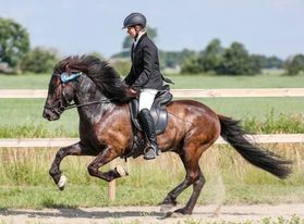 Ninni Carr p hstryggen