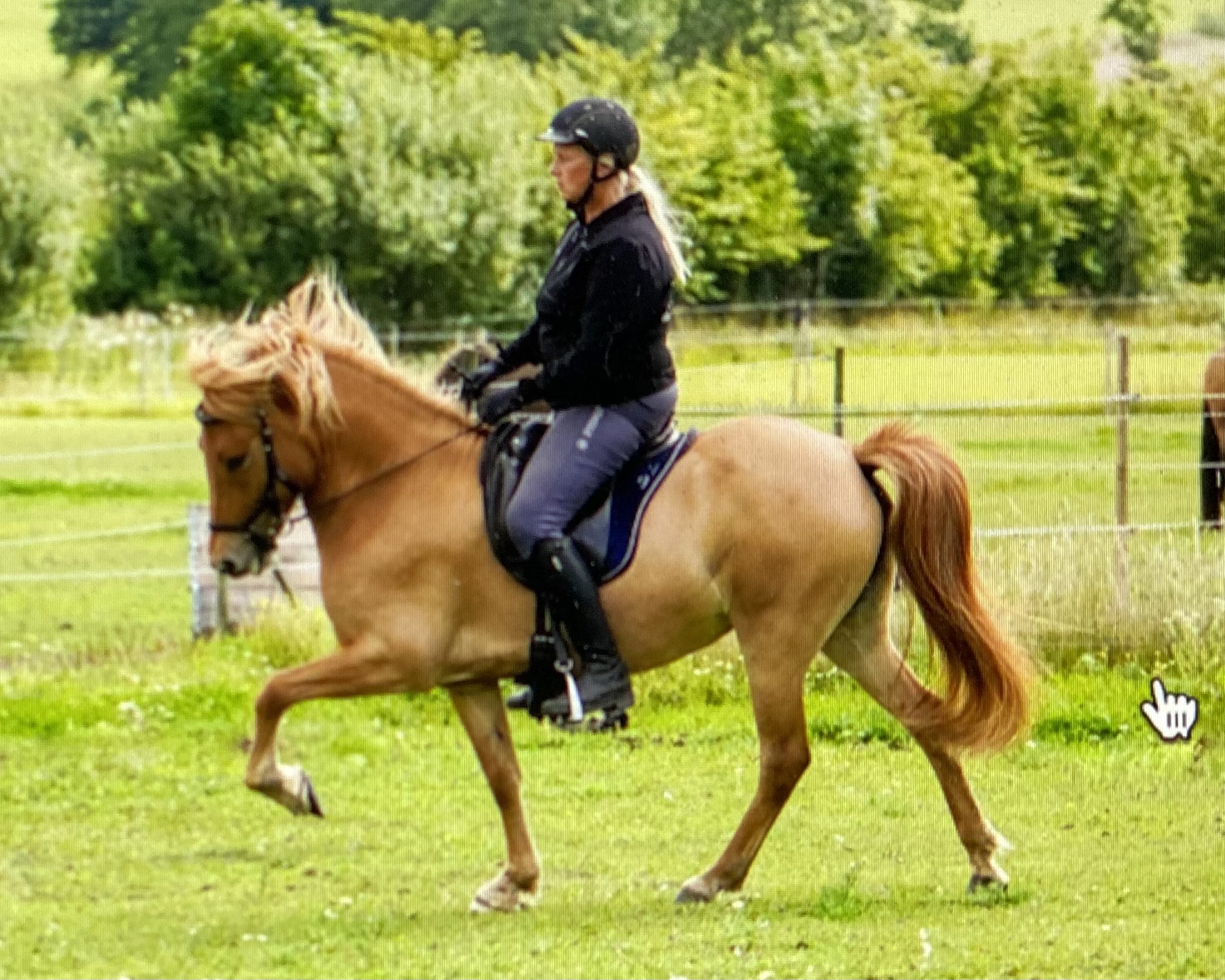 Helena Kroghen Adalsteinsson