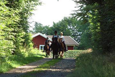 Turridning i det gröna