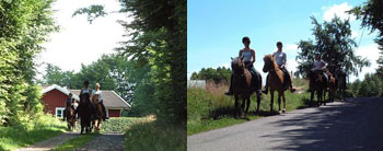 Turridning i naturen